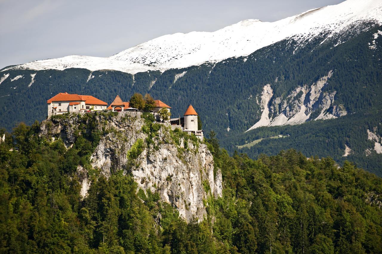 Vila Lipa Bled Exterior photo